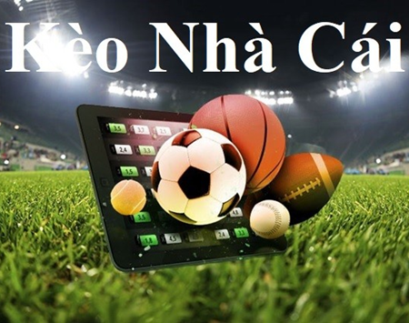 BOC FUN-Khám phá thế giới qua ứng dụng Android／IOS!